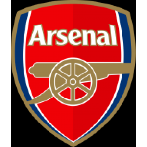 Logo des Shops Arsenal Direct